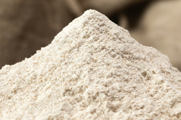 close up pile 600 cropped close up pile 600 cropped